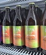 Galgenberg Nectaron IPA 14°