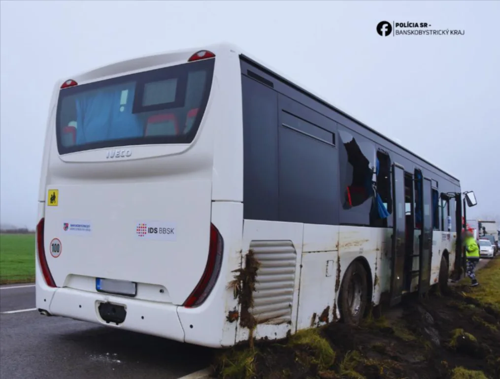 Аварія автобуса поблизу Лученеця