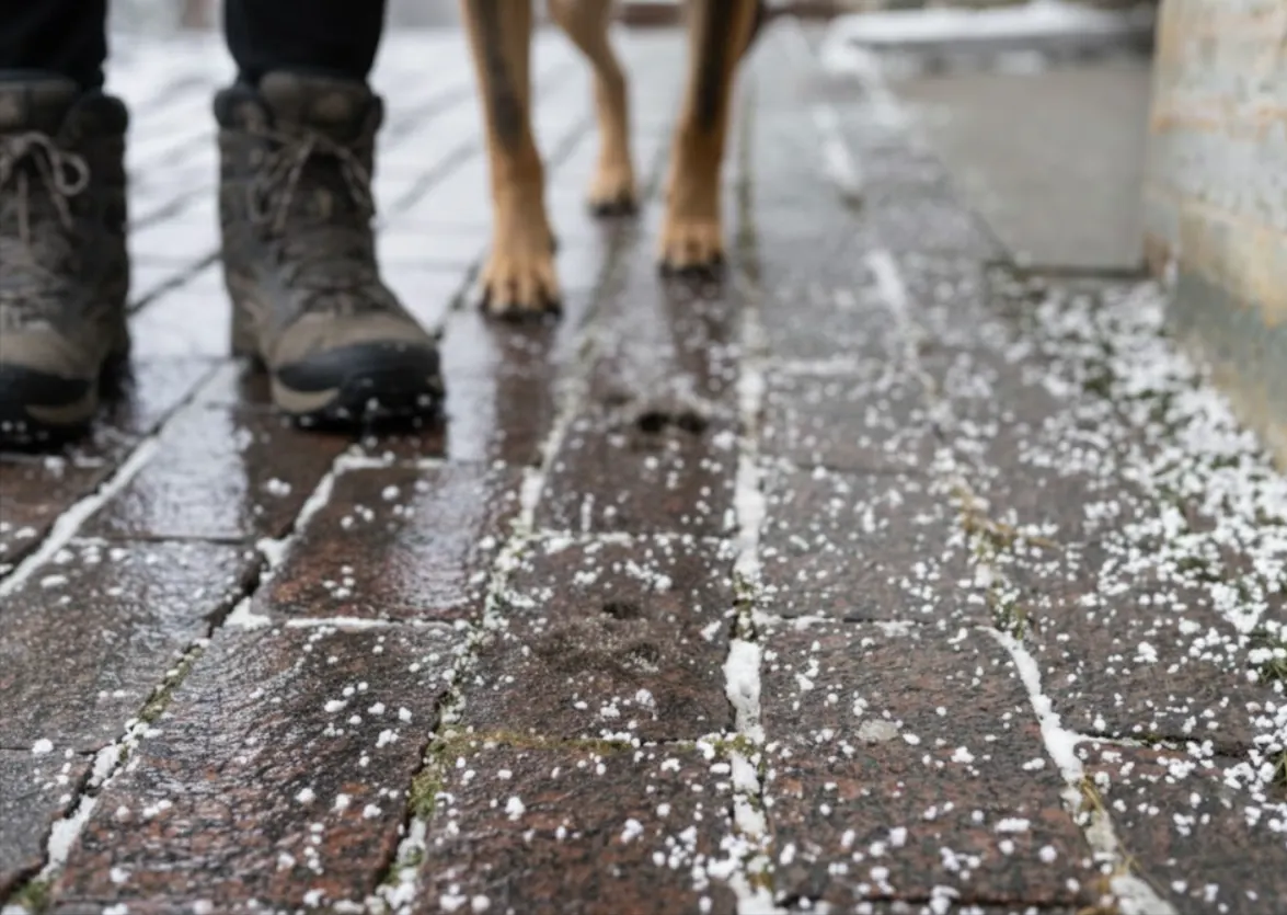 Битва за тротуари: мешканці вимагають екологічних реагентів, а влада боїться позовів за травми